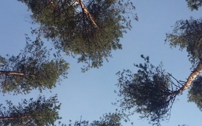 Oda do miłości