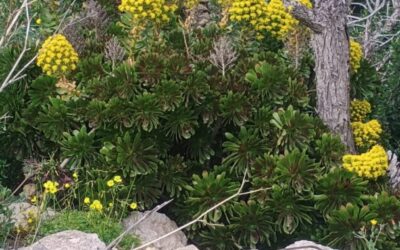 Zejście w głąb ciała