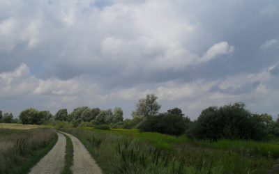 Zwierciadło myśli
