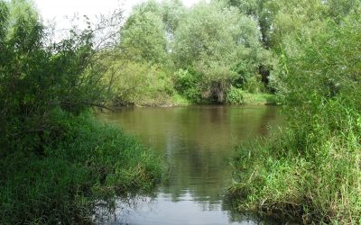 Zakręty na drodze życia