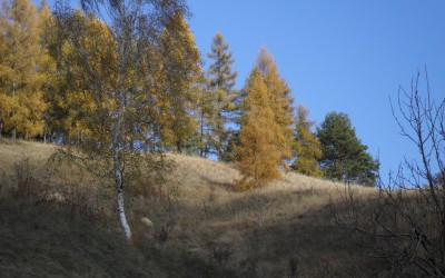 Żywioł śmierci