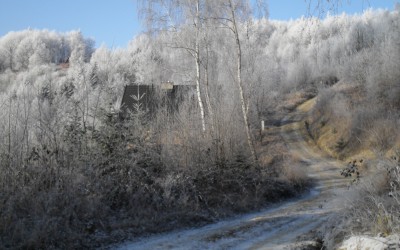 Taniec życia