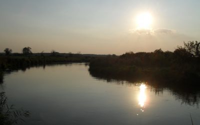 Wizja Chrystusa
