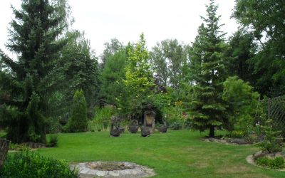 Jednia
